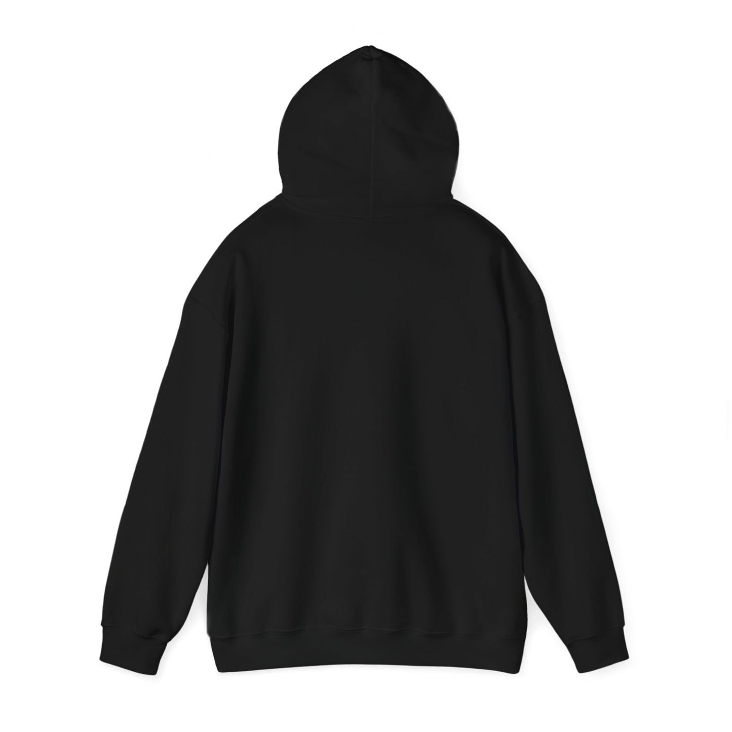 Pragnetics - Hoodie